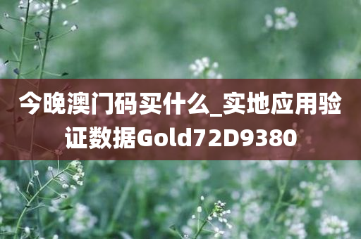 今晚澳门码买什么_实地应用验证数据Gold72D9380