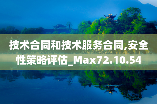 技术合同和技术服务合同,安全性策略评估_Max72.10.54