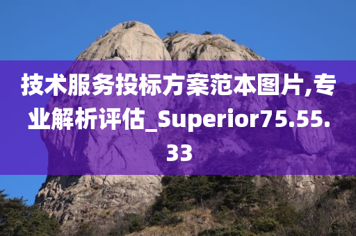 技术服务投标方案范本图片,专业解析评估_Superior75.55.33