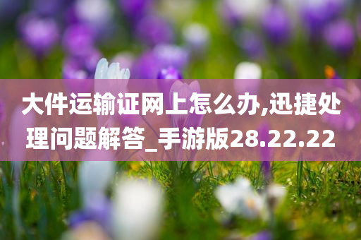 大件运输证网上怎么办,迅捷处理问题解答_手游版28.22.22