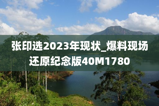 张印选2023年现状_爆料现场还原纪念版40M1780