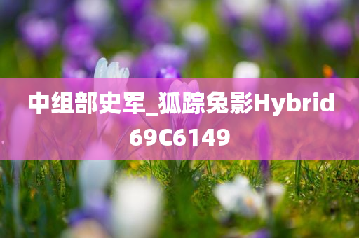 中组部史军_狐踪兔影Hybrid69C6149