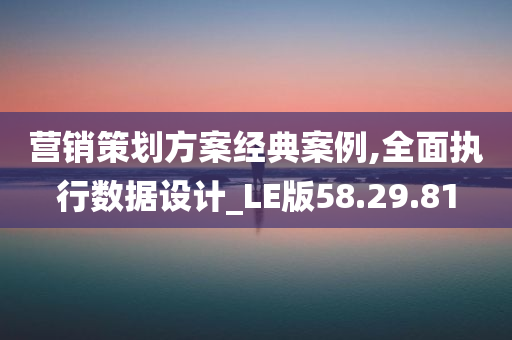 营销策划方案经典案例,全面执行数据设计_LE版58.29.81