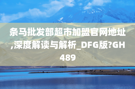 条马批发部超市加盟官网地址,深度解读与解析_DFG版?GH489