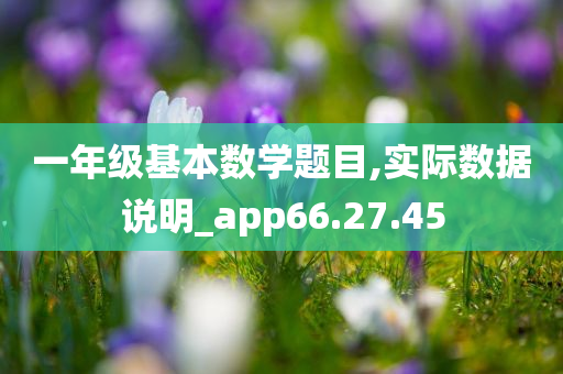 一年级基本数学题目,实际数据说明_app66.27.45