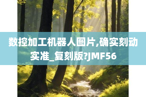 数控加工机器人图片,确实刻动实准_复刻版?JMF56