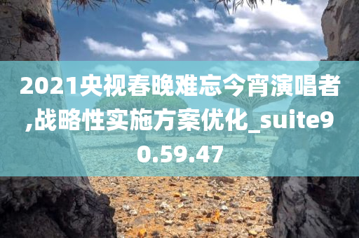 2021央视春晚难忘今宵演唱者,战略性实施方案优化_suite90.59.47