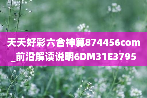 天天好彩六合神算874456com_前沿解读说明6DM31E3795