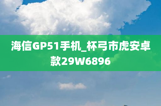 海信GP51手机_杯弓市虎安卓款29W6896