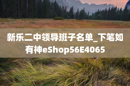 新乐二中领导班子名单_下笔如有神eShop56E4065