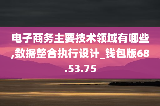 电子商务主要技术领域有哪些,数据整合执行设计_钱包版68.53.75