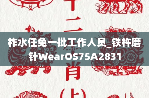 柞水任免一批工作人员_铁杵磨针WearOS75A2831