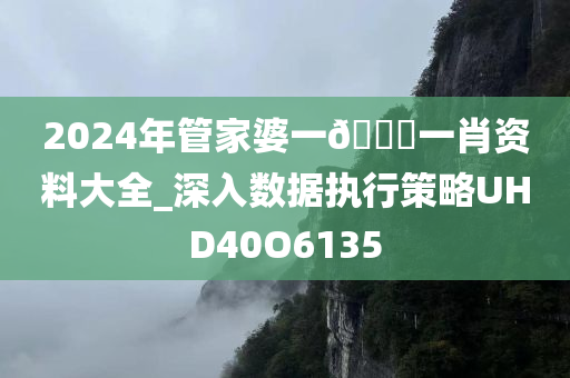 2024年管家婆一🐎一肖资料大全_深入数据执行策略UHD40O6135