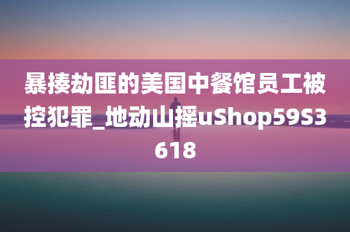 暴揍劫匪的美国中餐馆员工被控犯罪_地动山摇uShop59S3618