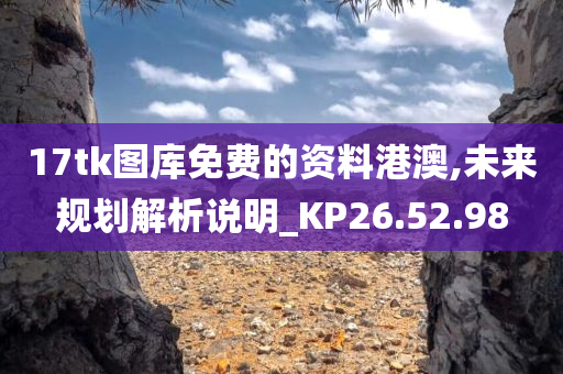 17tk图库免费的资料港澳,未来规划解析说明_KP26.52.98