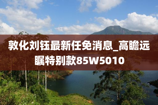 敦化刘钰最新任免消息_高瞻远瞩特别款85W5010