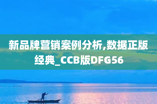 新品牌营销案例分析,数据正版经典_CCB版DFG56