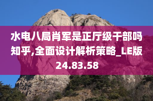 水电八局肖军是正厅级干部吗知乎,全面设计解析策略_LE版24.83.58