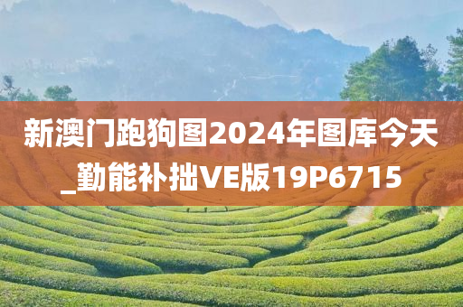 新澳门跑狗图2024年图库今天_勤能补拙VE版19P6715