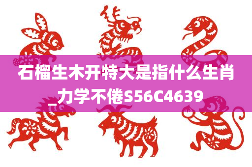 石榴生木开特大是指什么生肖_力学不倦S56C4639