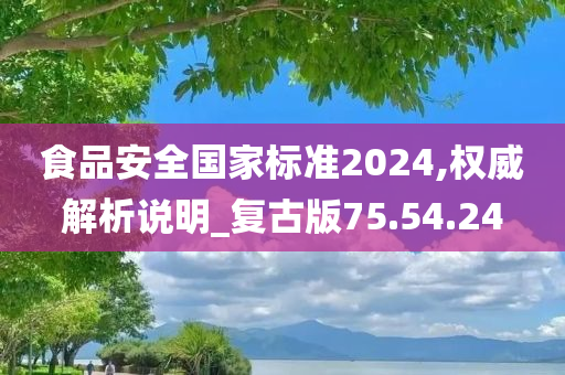 食品安全国家标准2024,权威解析说明_复古版75.54.24