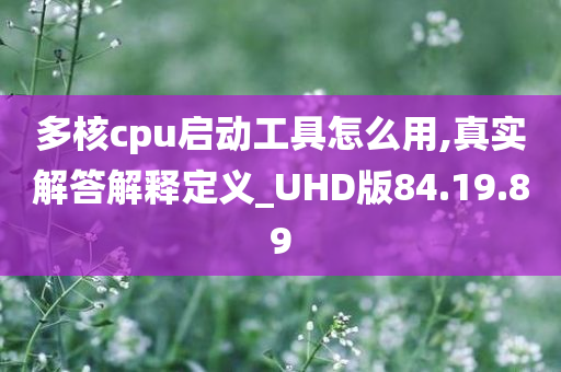 多核cpu启动工具怎么用,真实解答解释定义_UHD版84.19.89