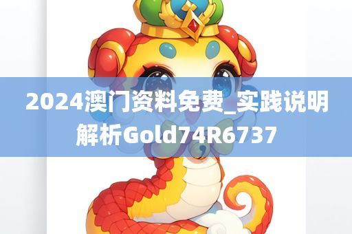 2024澳门资料免费_实践说明解析Gold74R6737