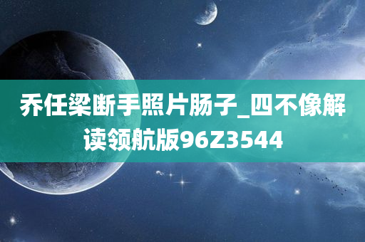 乔任梁断手照片肠子_四不像解读领航版96Z3544