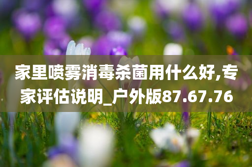 家里喷雾消毒杀菌用什么好,专家评估说明_户外版87.67.76