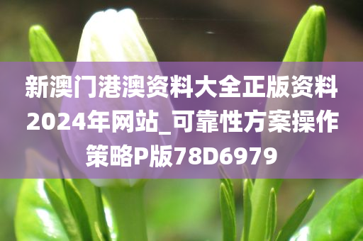 新澳门港澳资料大全正版资料2024年网站_可靠性方案操作策略P版78D6979