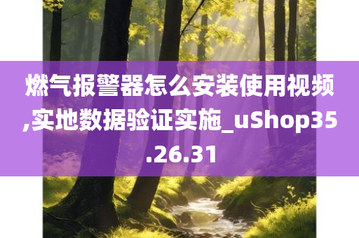 燃气报警器怎么安装使用视频,实地数据验证实施_uShop35.26.31