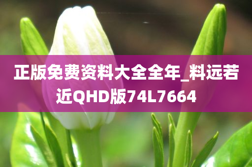 正版免费资料大全全年_料远若近QHD版74L7664