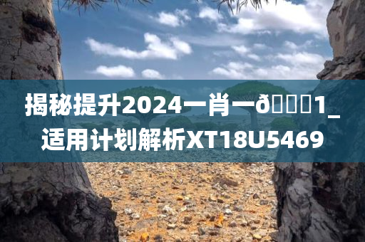 揭秘提升2024一肖一🐎1_适用计划解析XT18U5469