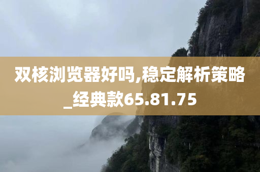 双核浏览器好吗,稳定解析策略_经典款65.81.75