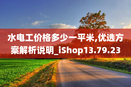 水电工价格多少一平米,优选方案解析说明_iShop13.79.23