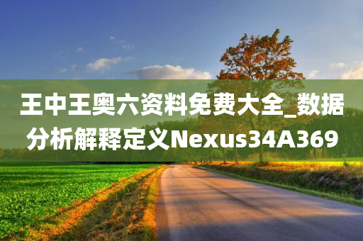 王中王奥六资料免费大全_数据分析解释定义Nexus34A3690