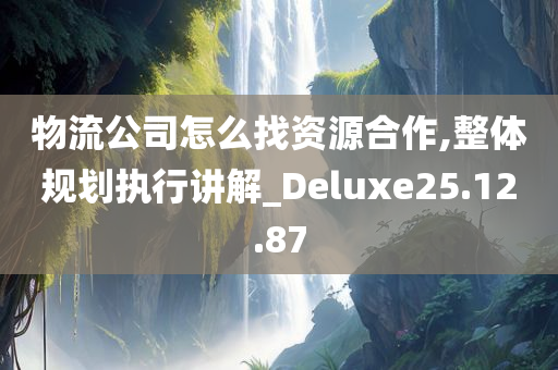 物流公司怎么找资源合作,整体规划执行讲解_Deluxe25.12.87