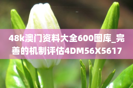 48k澳门资料大全600图库_完善的机制评估4DM56X5617