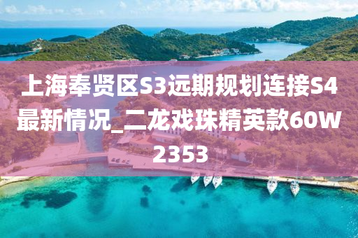 上海奉贤区S3远期规划连接S4最新情况_二龙戏珠精英款60W2353