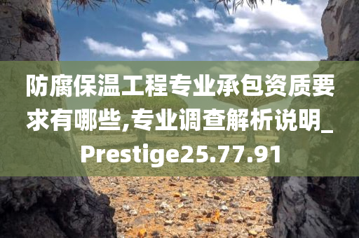 防腐保温工程专业承包资质要求有哪些,专业调查解析说明_Prestige25.77.91