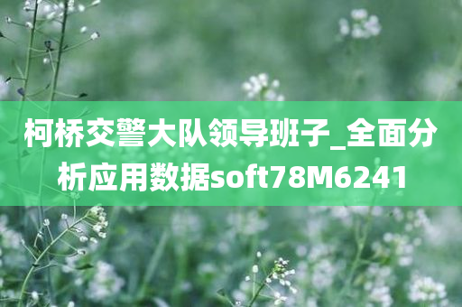 柯桥交警大队领导班子_全面分析应用数据soft78M6241