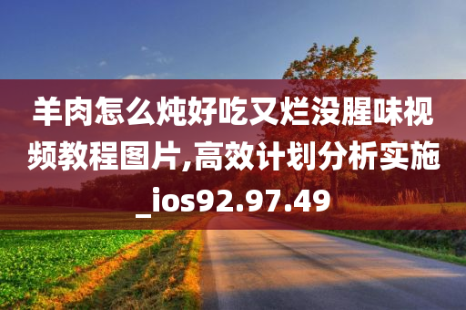 羊肉怎么炖好吃又烂没腥味视频教程图片,高效计划分析实施_ios92.97.49