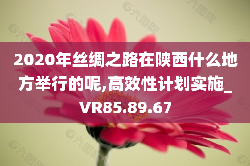 2020年丝绸之路在陕西什么地方举行的呢,高效性计划实施_VR85.89.67