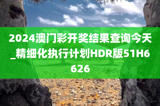 2024澳门彩开奖结果查询今天_精细化执行计划HDR版51H6626