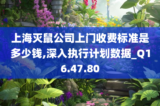 上海灭鼠公司上门收费标准是多少钱,深入执行计划数据_Q16.47.80