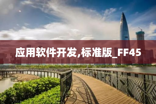 应用软件开发,标准版_FF45