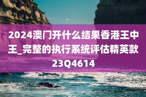 2024澳门开什么结果香港王中王_完整的执行系统评估精英款23Q4614