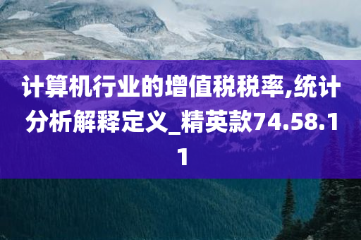 计算机行业的增值税税率,统计分析解释定义_精英款74.58.11