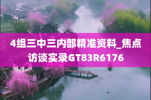 4组三中三内部精准资料_焦点访谈实录GT83R6176