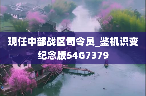 现任中部战区司令员_鉴机识变纪念版54G7379